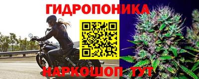 трава Кандалакша