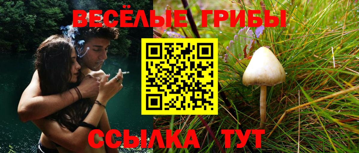 Галлюциногенные грибы Cubensis  Вход с VPN  Узловая 