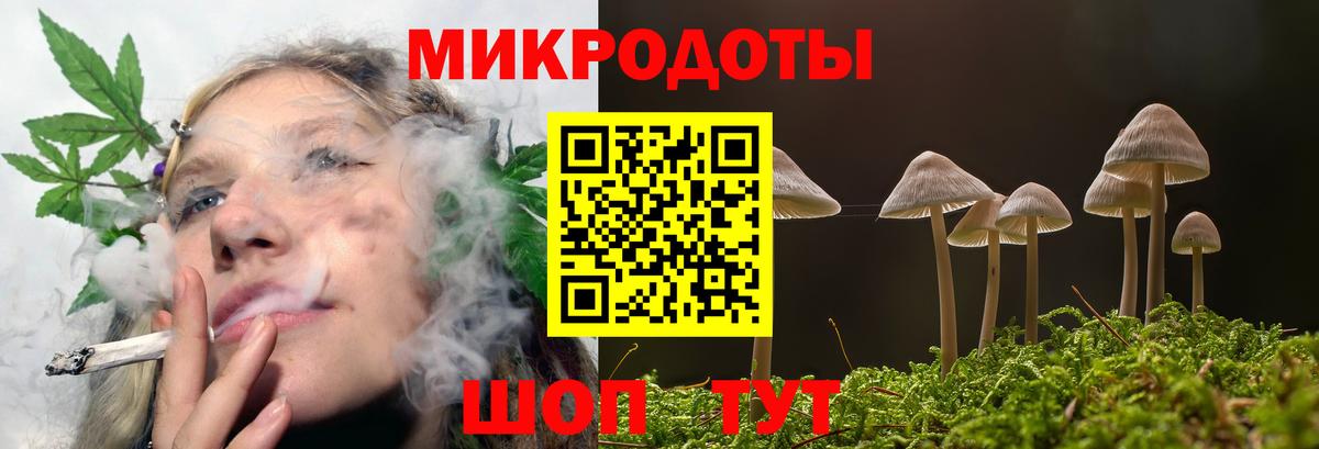 Галлюциногенные грибы Psilocybine cubensis Узловая